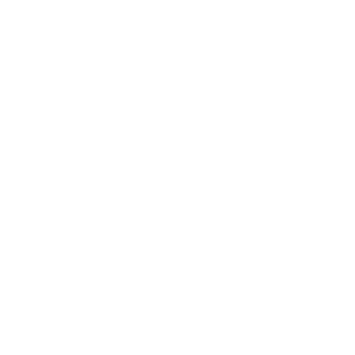 Carpneus_Icona_motorcycle